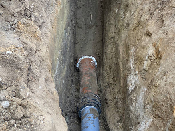 Best Flood restoration services  in Wood River, IL