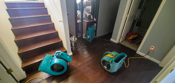Best Water damage cleanup near me  in Wood River, IL