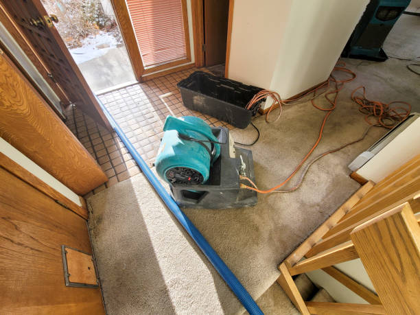 Best Commercial water damage restoration  in Wood River, IL