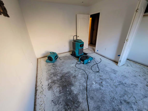 Best Water damage contractors near me  in Wood River, IL