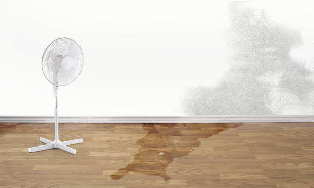 Best Fire Damage Restoration  in Wood River, IL