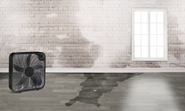 Best Residential water damage restoration  in Wood River, IL