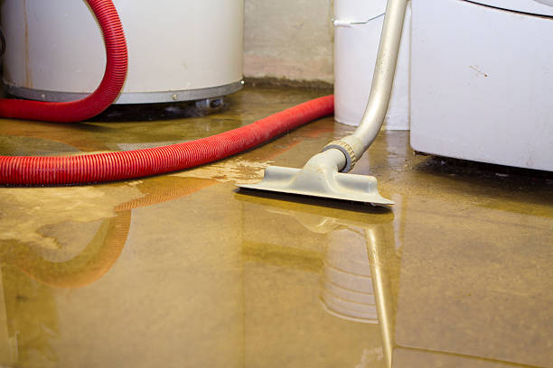 Best Flood restoration services  in Wood River, IL
