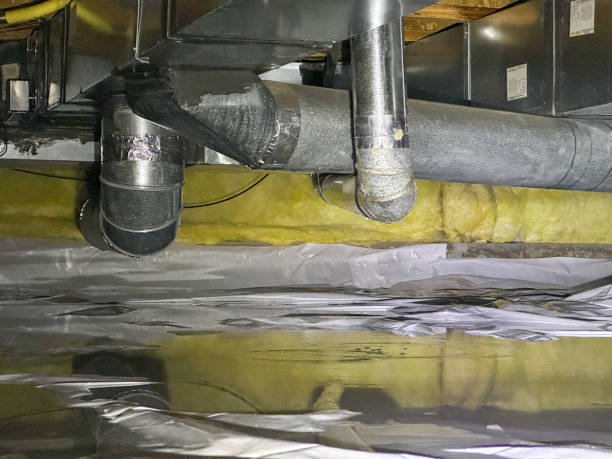 Best Local water damage restoration  in Wood River, IL