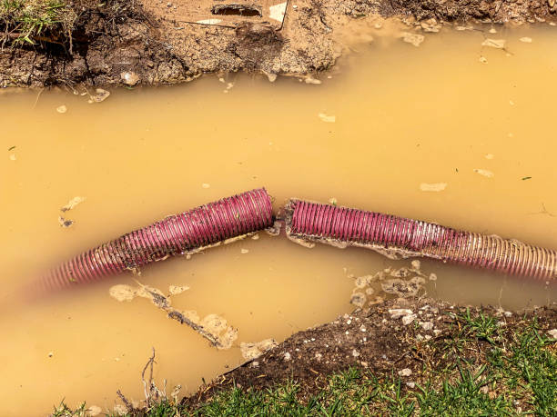 Best Professional water damage repair  in Wood River, IL